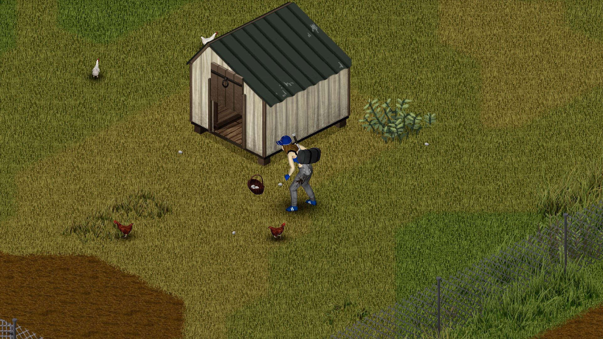 Featured image Project Zomboid build 42 adds animals basements and deeper crafting