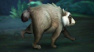 Featured image Viral Raccoon Jimothy Becomes an Earnable WoW Pet