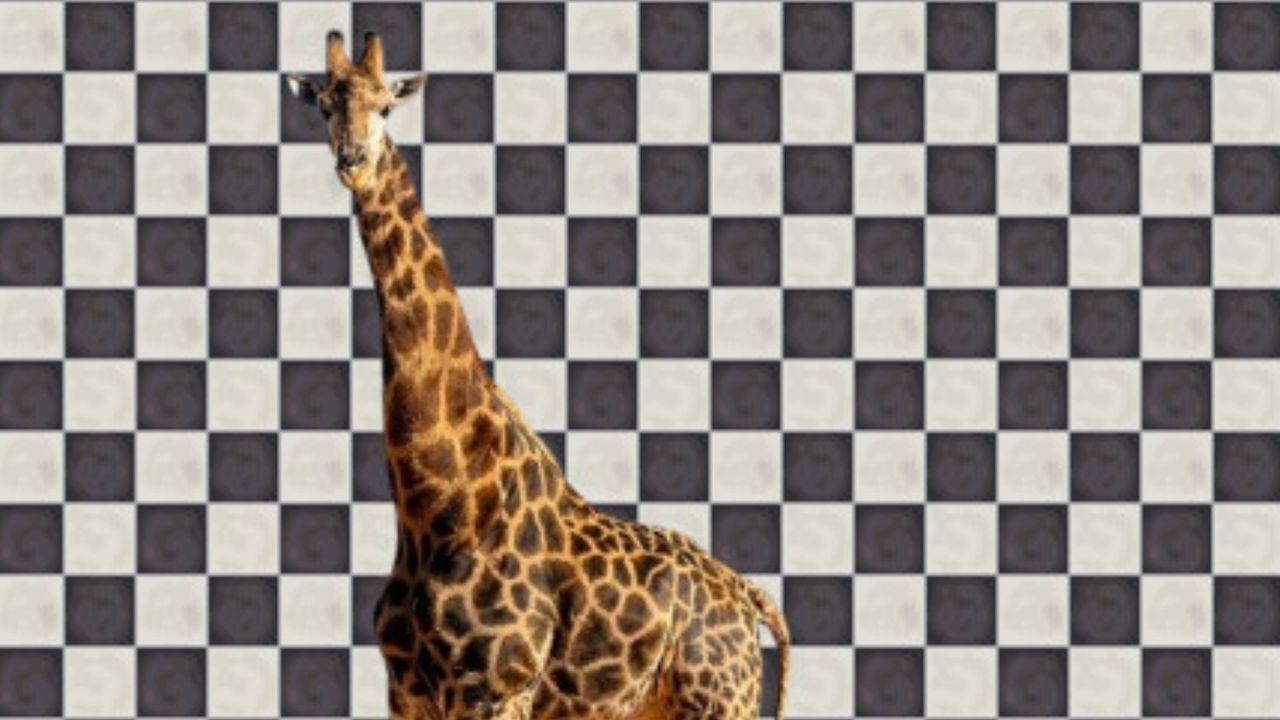 Featured image Game made 13M but dev lost it all after almost dying