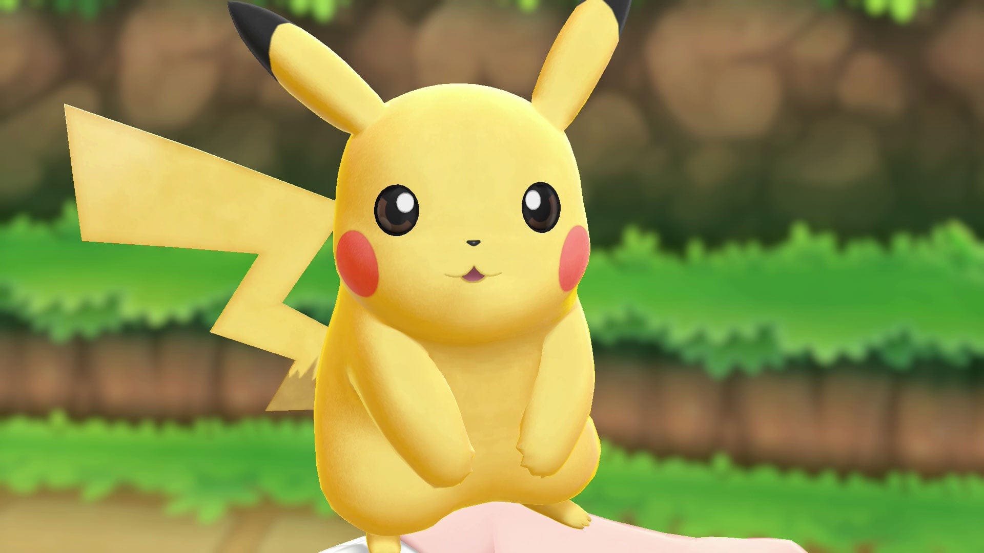 Featured image Pokmon Collector Arrested for Tracking Woman Who Restocked Stores