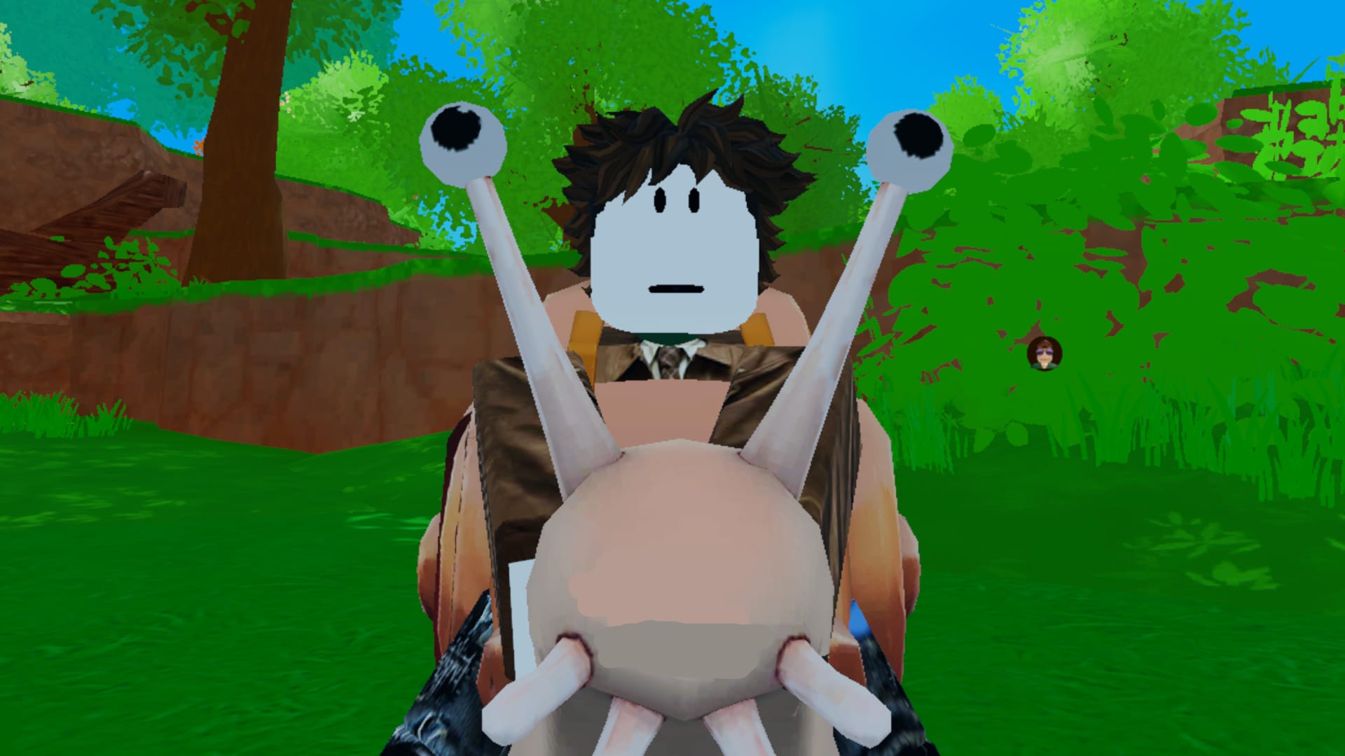Featured image Ride a Pet codes guide
