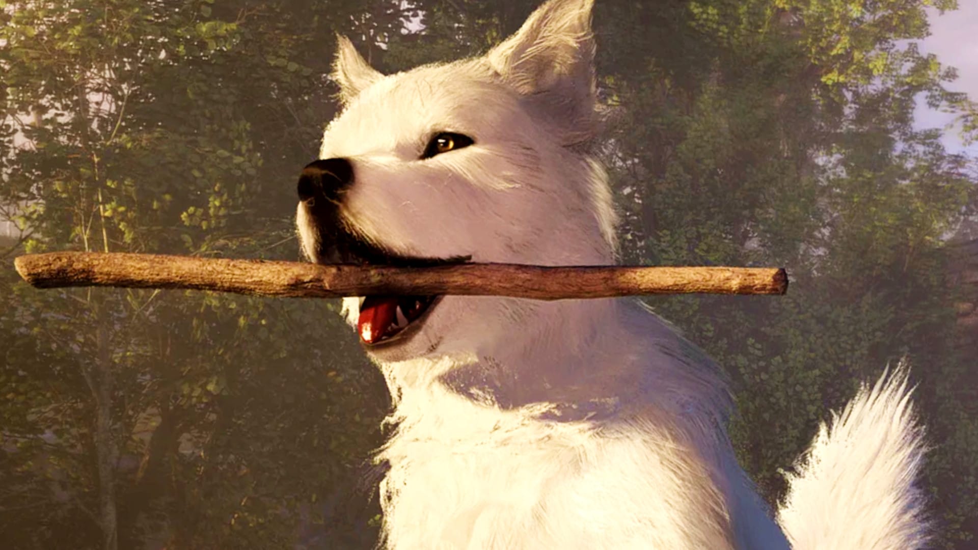 Featured image Adorable wolf pups fishing and weather in the new Soulframe update