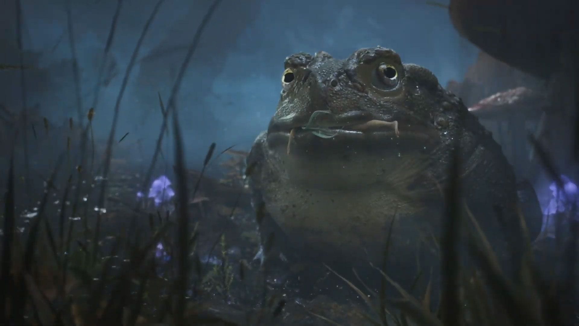 Featured image Fable creator shifts from worry to cant wait for the reboot