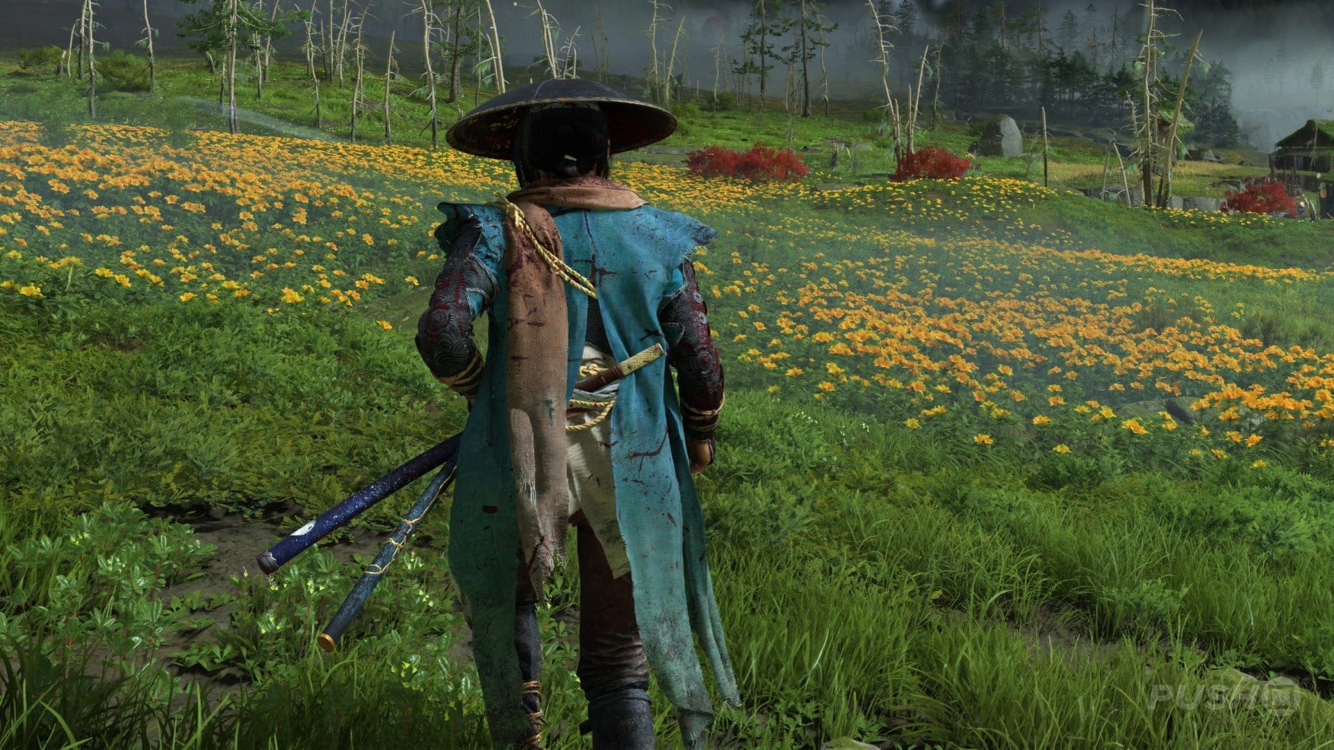 Featured image Ghost of Yotei PS5 Patch fixes bugs and black screens